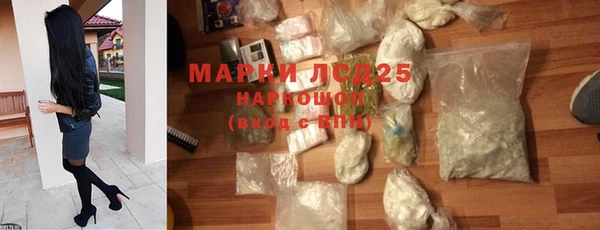 apvp Кукмор