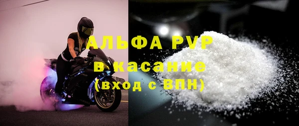 apvp Кукмор