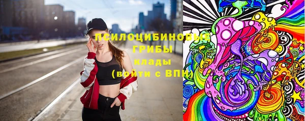 apvp Кукмор