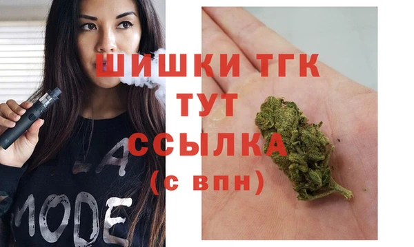 apvp Кукмор