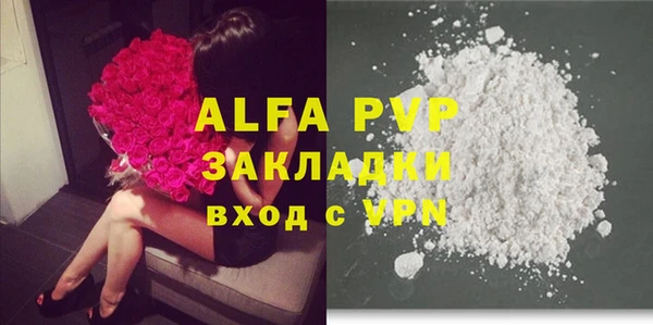 apvp Кукмор