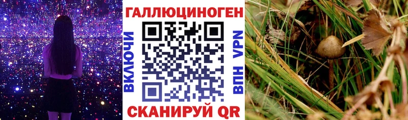Галлюциногенные грибы Cubensis  цена наркотик  Копейск 